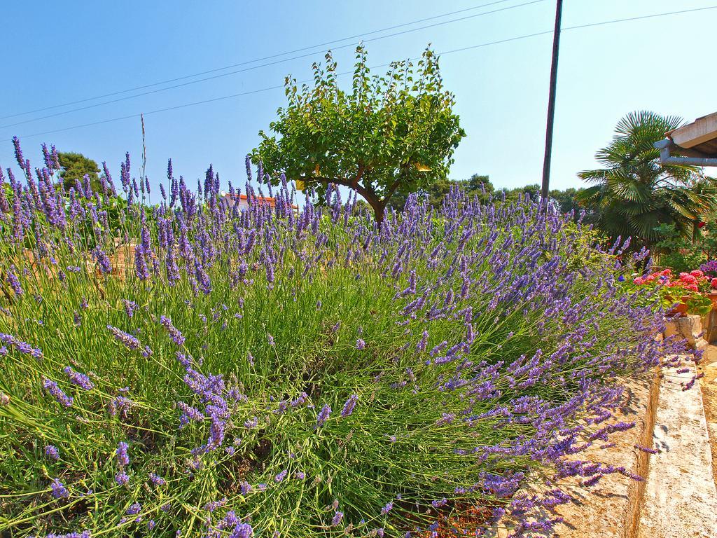 מדולין Apartment Vrcevan 895 מראה חיצוני תמונה